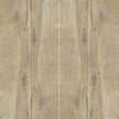 Castelvetro Woodland Elm 30X120