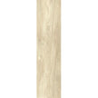 Castelvetro Woodland Almonds 30X120