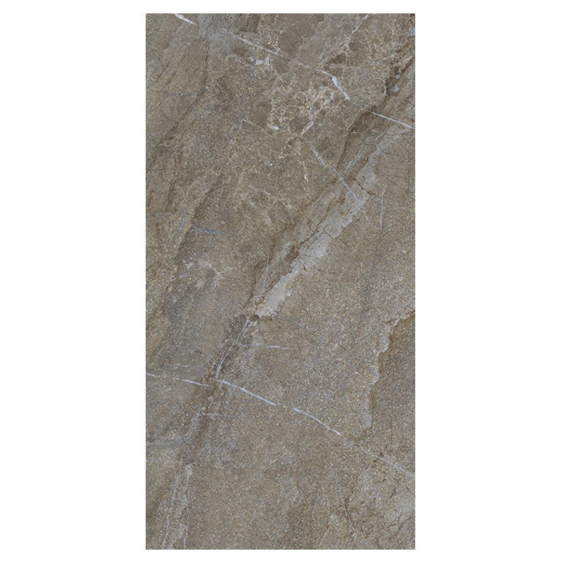 Vloertegel Energieker AGATHOS MULTICOLOR 60x120 cm (doosinhoud 1.44 m2)