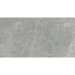 Vloertegel Flaviker SUPREME EVO Glans Grey Amani 60x120 cm (doosinhoud 1.44 m2)