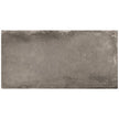 Vloertegel Flaviker BACKSTAGE Graphite 60x120 cm (doosinhoud 1.44 m2)