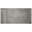 Vloertegel Flaviker BACKSTAGE Graphite 40x80 cm (doosinhoud 0.96 m2)