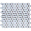 The Mosaic Factory Barcelona Mozaiek Tegel Hexagon - Zacht Blauw met rand Porselein Geglazuurd 260x300 mm