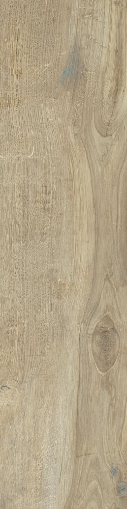 Castelvetro Woodland ELM 20x80 cm