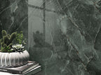 Pulido manaos green - 60x120 - gepolijst - gerectificeerd