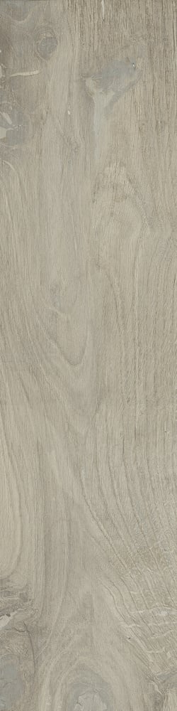 Castelvetro Woodland MAPLE 20x80 cm