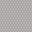 The Mosaic Factory London Mozaiek Tegel Hexagon - Wit Porselein Ongeglazuurd, R11 260x300 mm