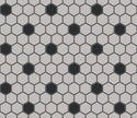 The Mosaic Factory London Mozaiek Tegel Hexagon - Wit/Zwart Porselein Ongeglazuurd, 18 black dots 260x300 mm