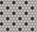 The Mosaic Factory London Mozaiek Tegel Hexagon - Wit/Zwart Porselein Ongeglazuurd, 18 black dots 260x300 mm