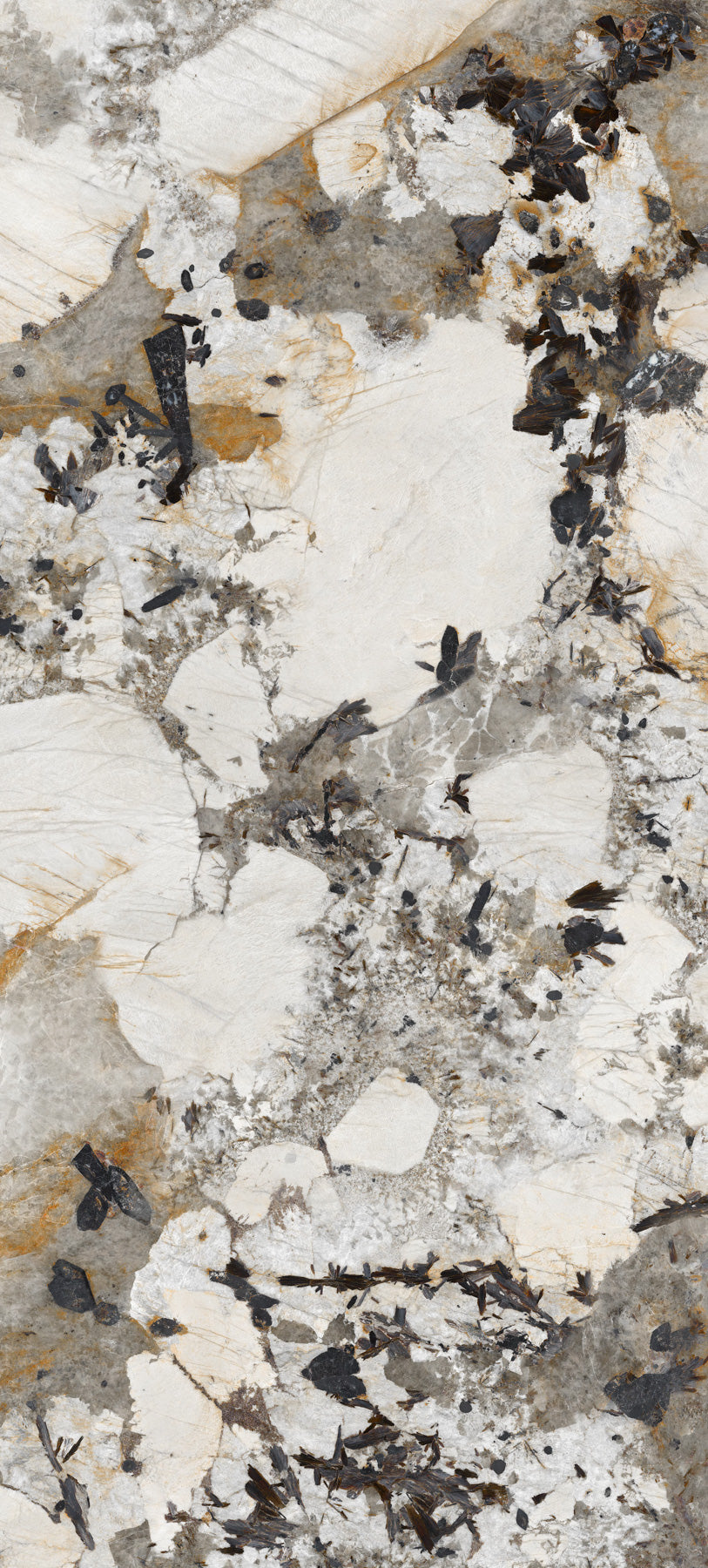 Energieker Patagonia Lev. 120X120 148790