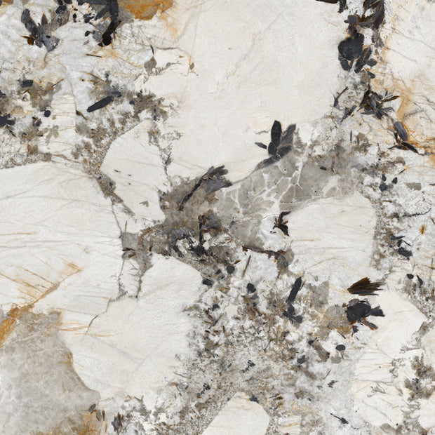 Energieker Patagonia Lev. 120X120 148790