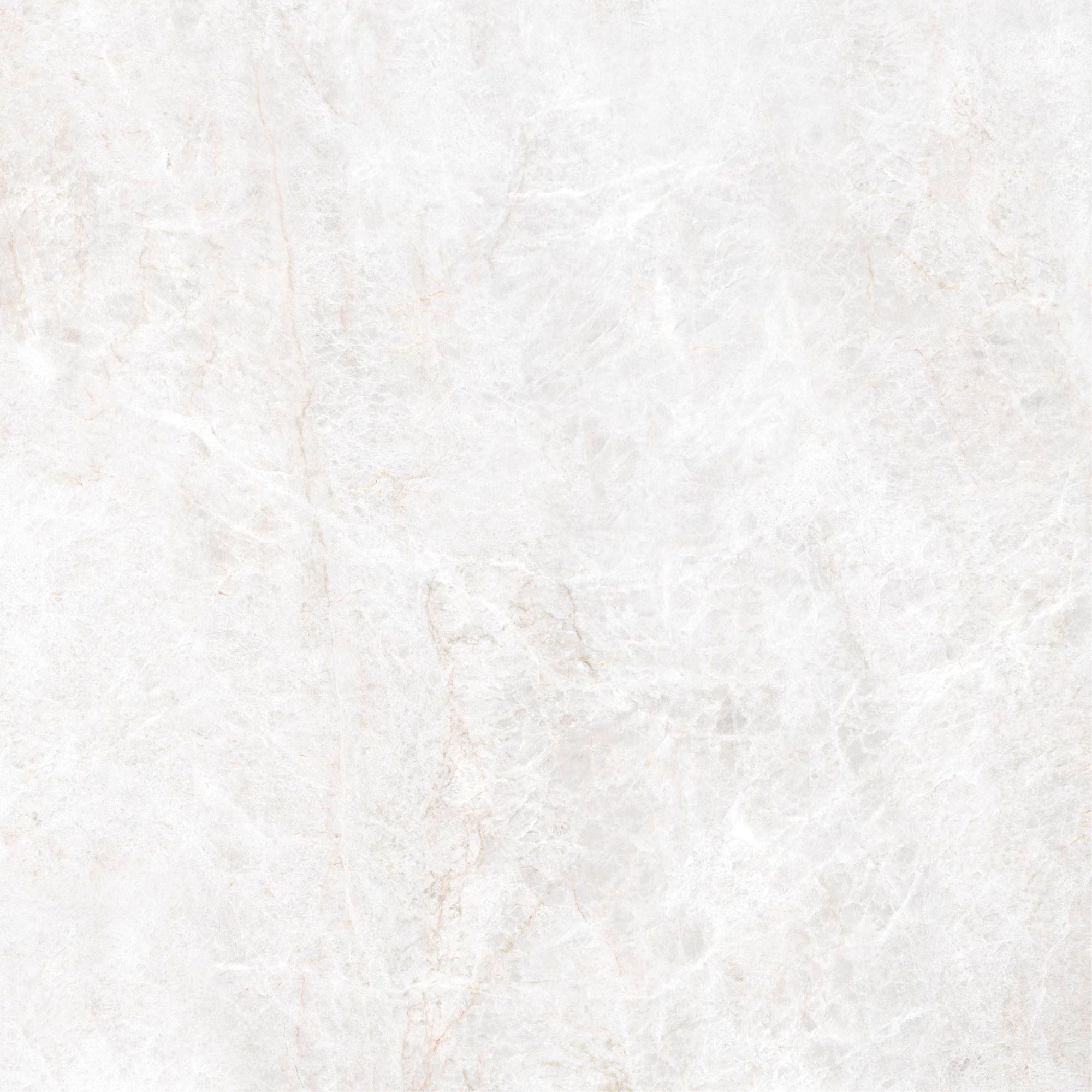 Energieker Taj Mahal Shell Mat. 120X120