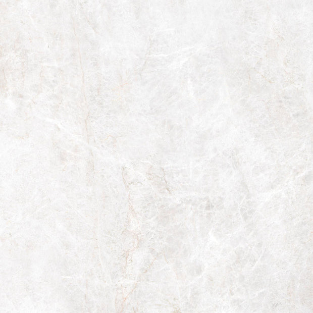 Energieker Taj Mahal Shell Mat. 120X120