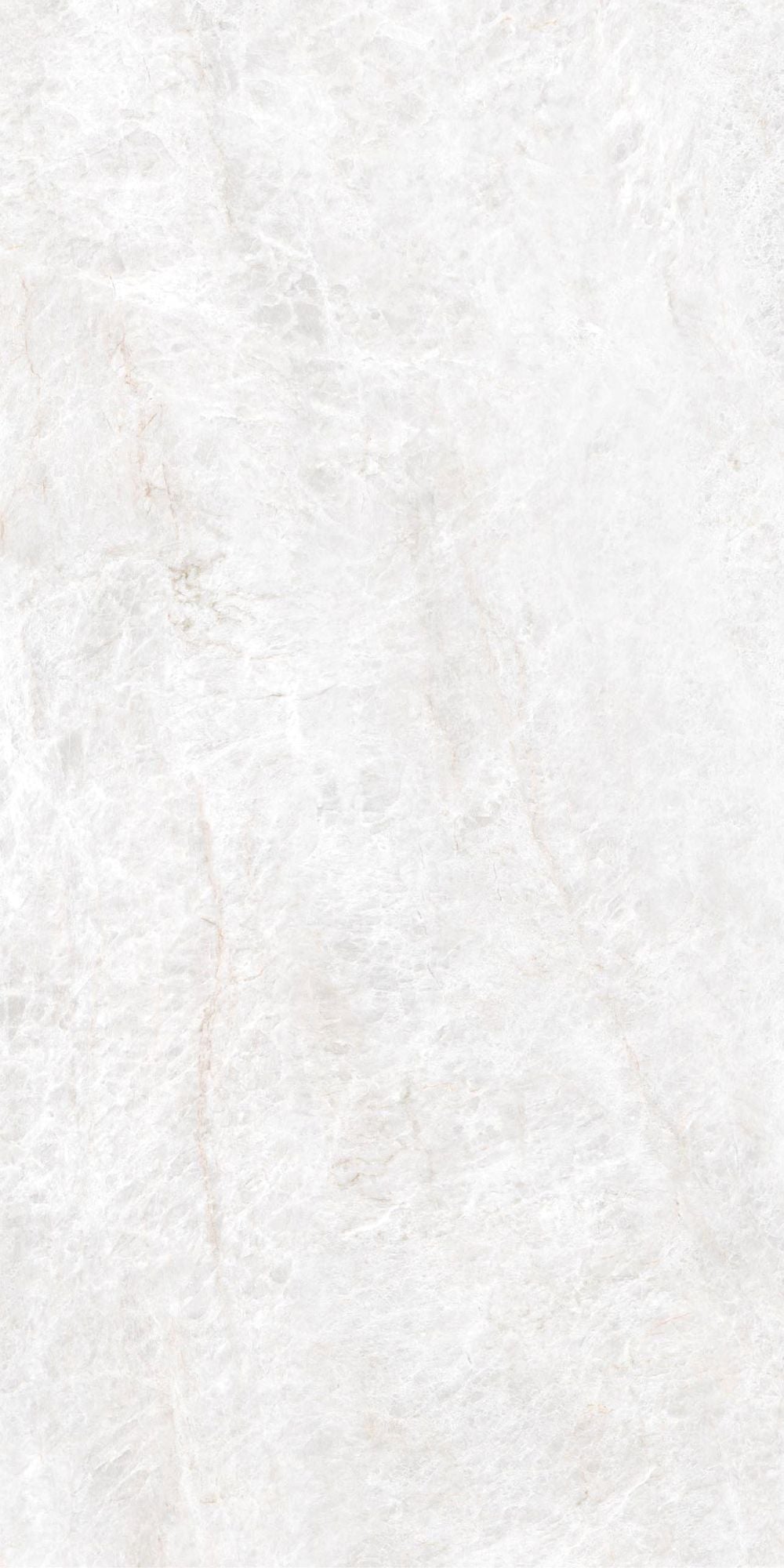 Energieker Taj Mahal Shell Mat. 120X120