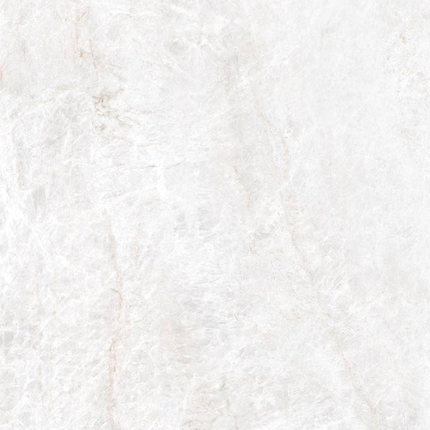 Energieker Taj Mahal Shell Mat. 60X120