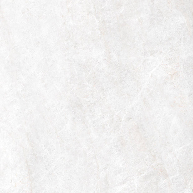 Energieker Taj Mahal Shell Glans 120X120