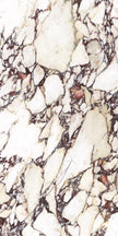 Energieker Calacatta Viola Mat. 60X120 150905