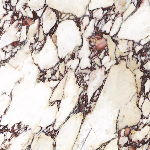 Energieker Calacatta Viola Mat. 120X120 150895