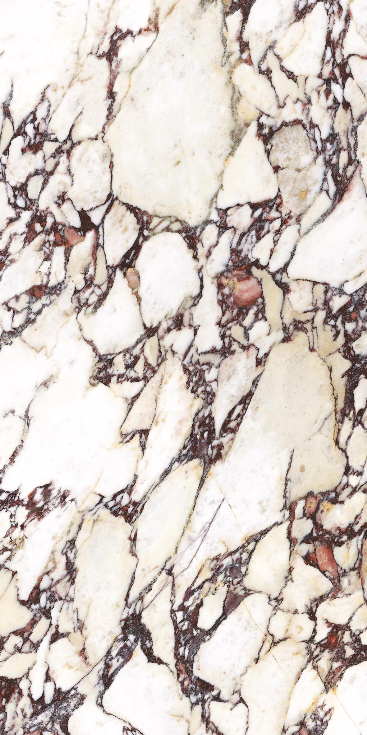 Energieker Calacatta Viola Lev. 120X120 150900